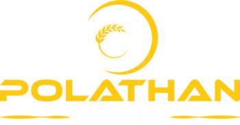 cropped Polathan_Site_Logo e1756100081518