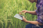 farmer standing rice field with tablet scaled e1755766603877